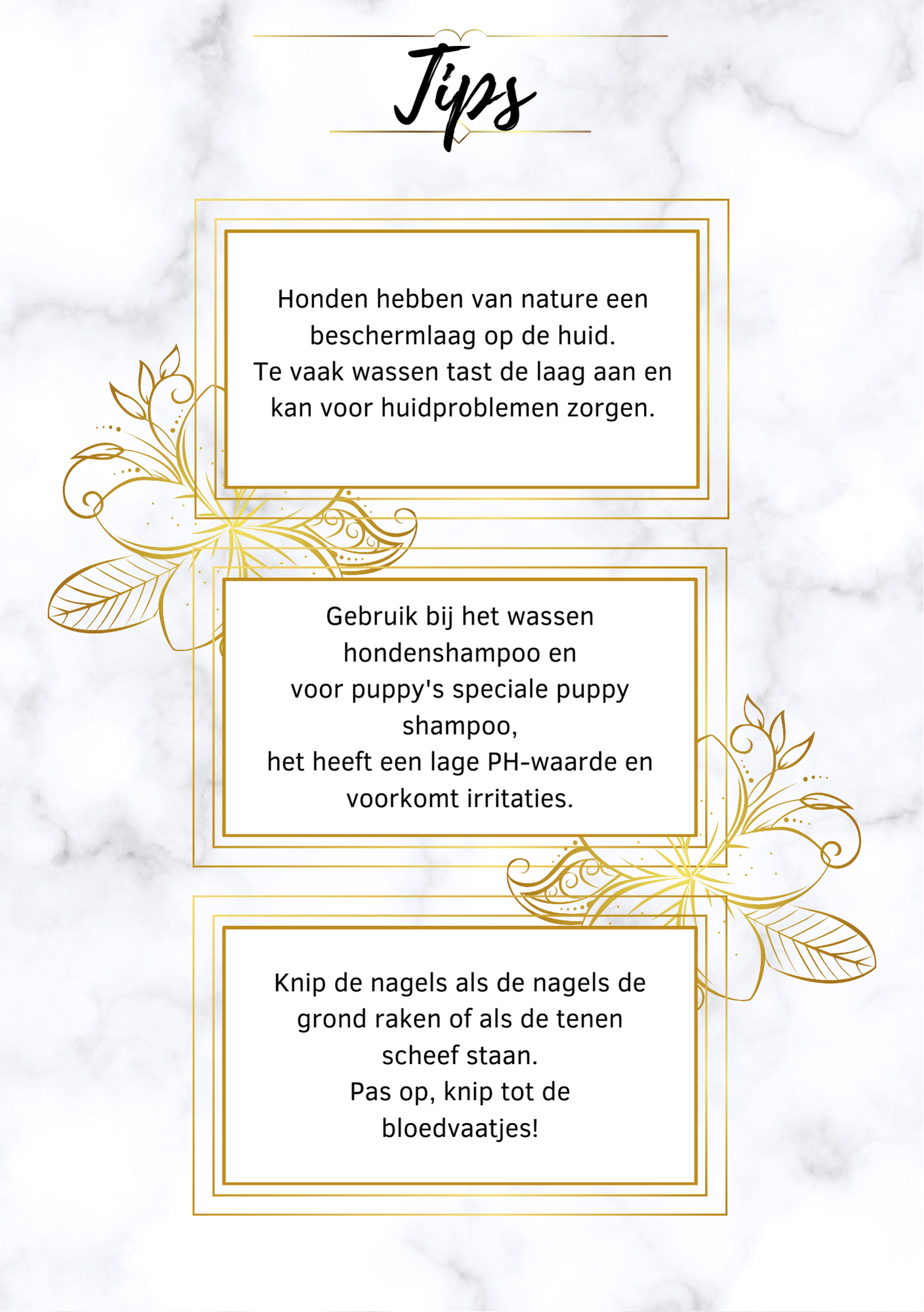 Honden dagboek