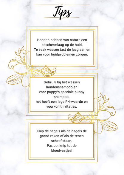 Honden dagboek